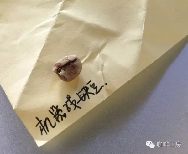 生豆烘焙